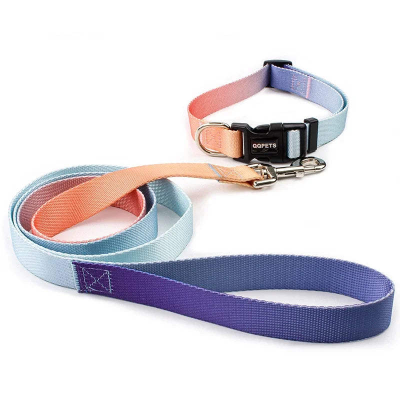 ensemble collier et laisse nylon  orange et bleu
