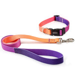 collier et laisse pour chien - Vignette | laisse pour chien. fr