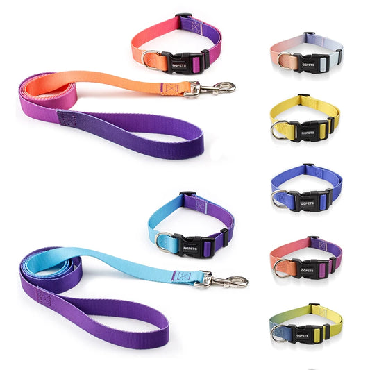 ensemble colliers et laisses nylon
