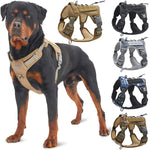 ensemble laisse et harnais pour chien - Vignette | laisse pour chien. fr