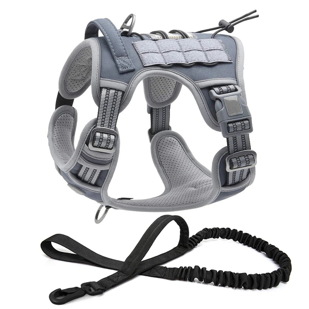 ensemble laisse et harnais pour chien gris