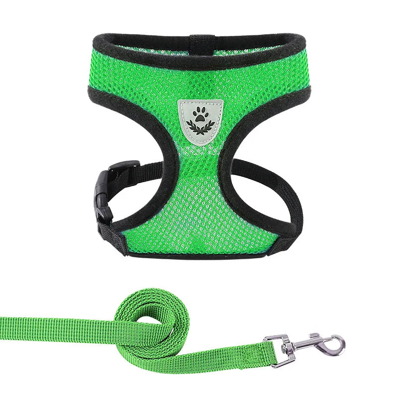 ensemble laisse et harnais vert