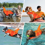 Gilet de sauvetage requin pour chien - Vignette | laisse pour chien. fr