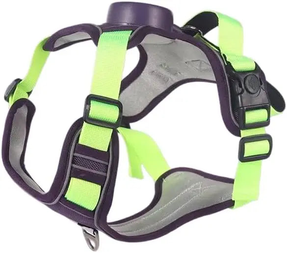 harnais avec laisse integree retractable vert clair