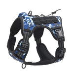 ensemble laisse et harnais pour chien - Vignette | laisse pour chien. fr
