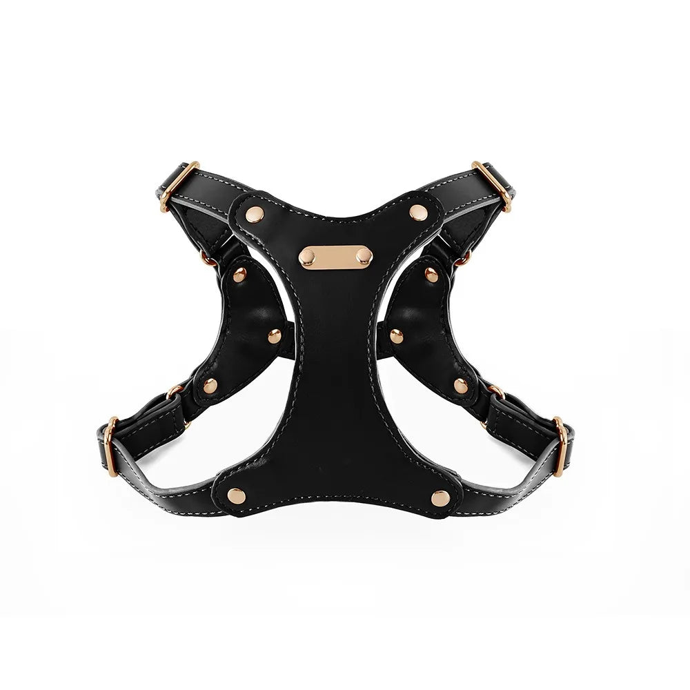 harnais en cuir noir