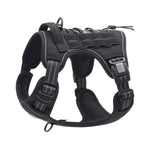 ensemble laisse et harnais pour chien - Vignette | laisse pour chien. fr
