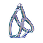 collier laisse et harnais pour chien - Vignette | laisse pour chien. fr
