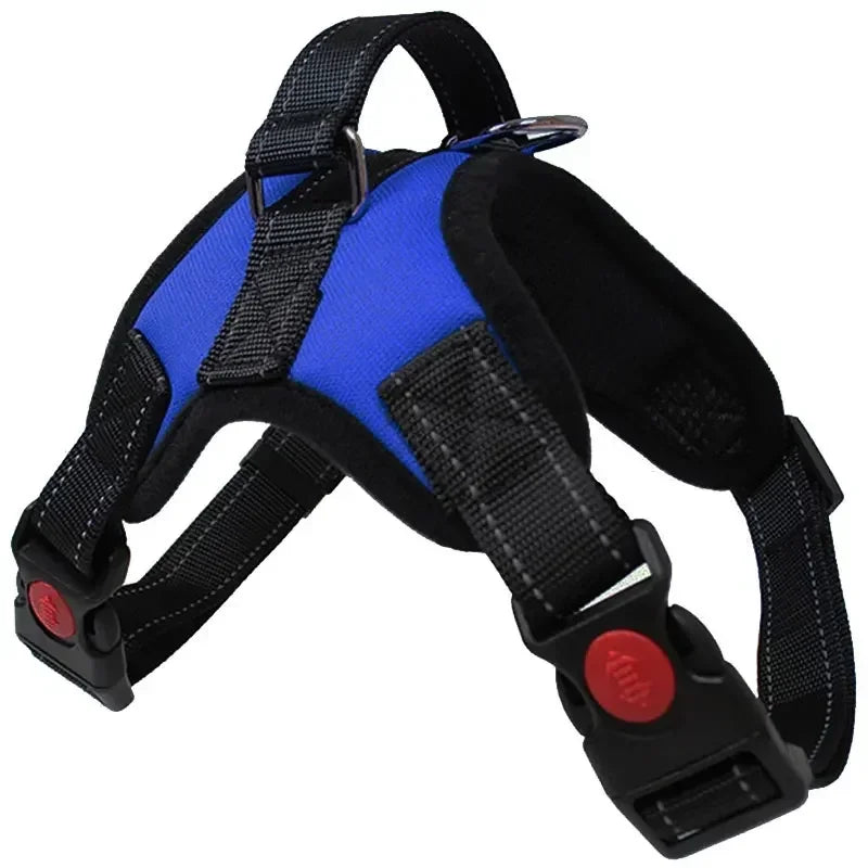 harnais nylon simple bleu