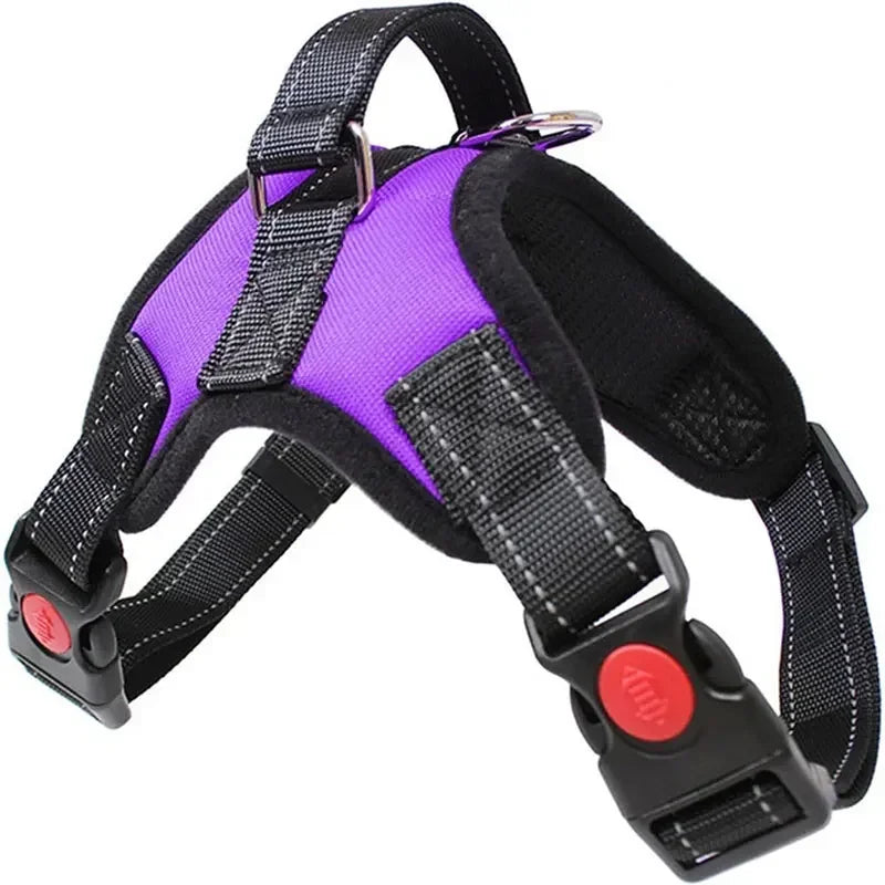 harnais nylon simple violet