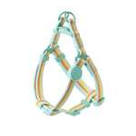 collier laisse et harnais pour chien - Vignette | laisse pour chien. fr