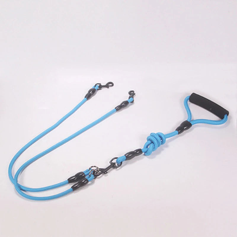 laisse corde 2 chiens bleu