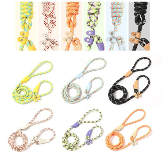 laisse corde lasso