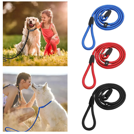 laisse corde lasso nylon couleur