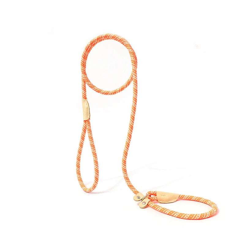 laisse corde lasso orange