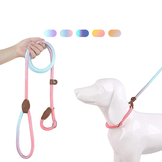 laisse corde lasso pastel