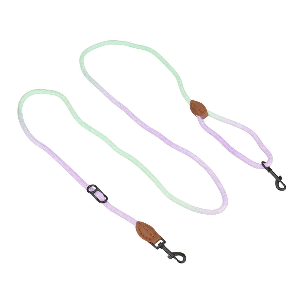 laisse corde mains libre nylon violet et vert
