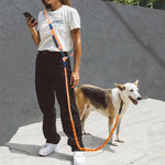 laisse mains libres pour chien corde - Vignette | laisse pour chien. fr