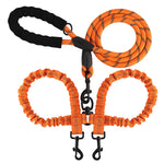 Double laisse pour chien élastique - Vignette | laisse pour chien. fr