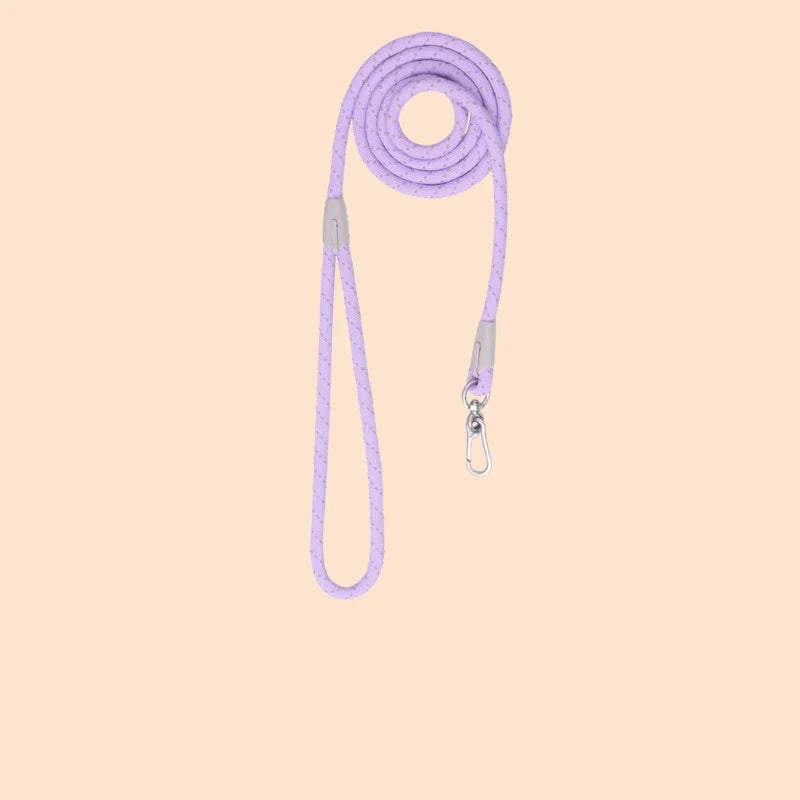 laisse corde reflechissante violet