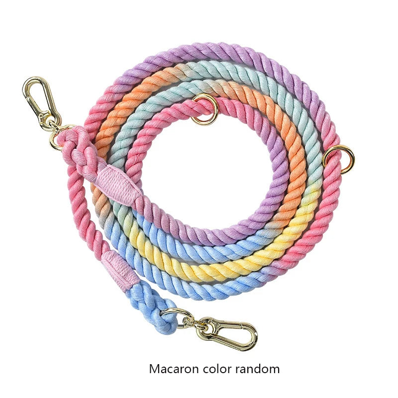 laisse corde tressée 2 attaches arc en ciel