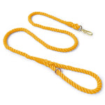 laisse corde pour chien - Vignette | laisse pour chien. fr