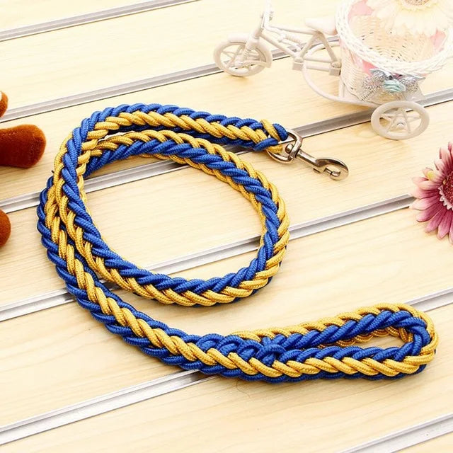 laisse corde tressee nylon bleu et  jaune