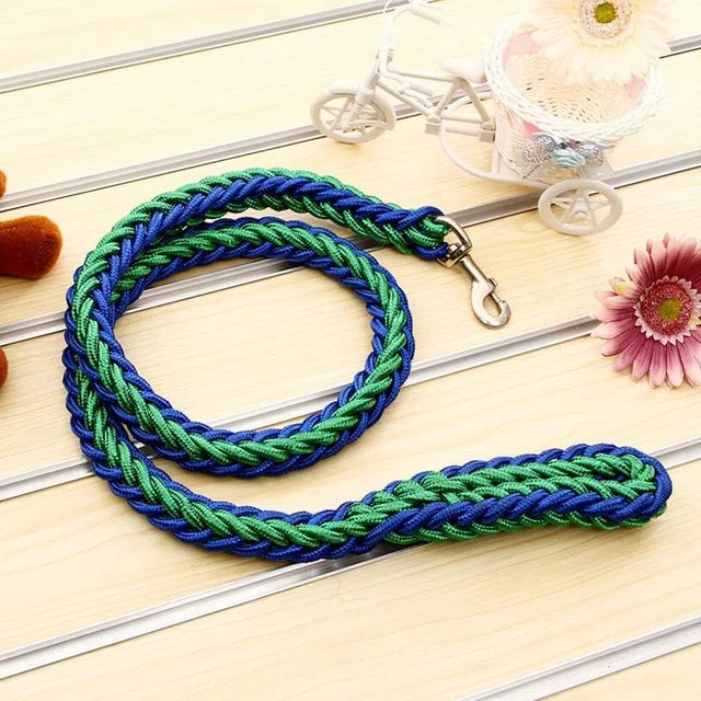 laisse corde tressee nylon bleu et vert