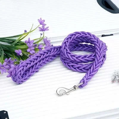 laisse corde tressee nylon couleur violet
