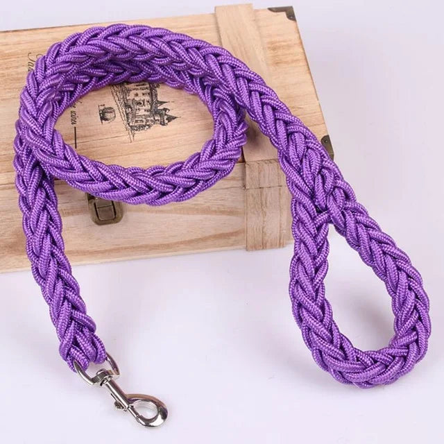 laisse corde tressee nylon violet