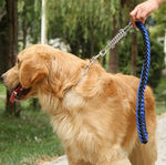 laisse courte pour chien corde tressée - Vignette | laisse pour chien. fr