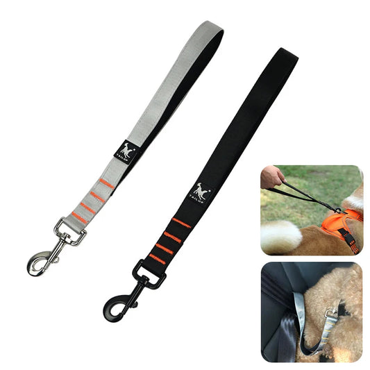 laisse courte nylon