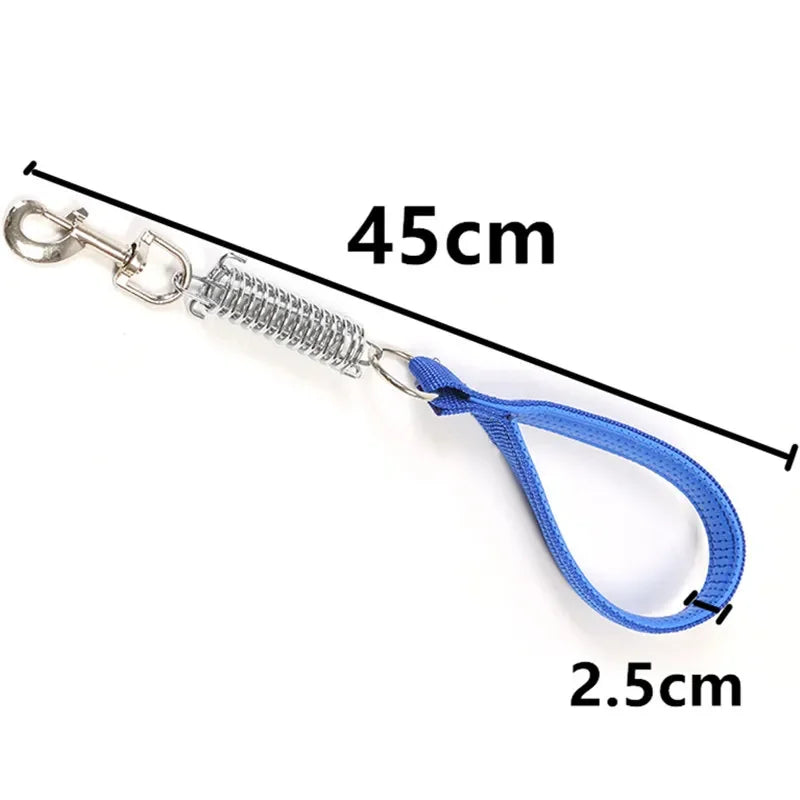 laisse courte nylon amortisseur bleu 2,5cm