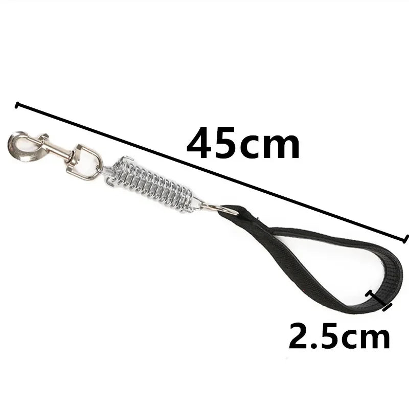 laisse courte nylon amortisseur noir 2,5cm