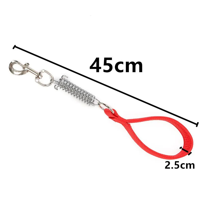laisse courte nylon amortisseur rouge 2,5cm