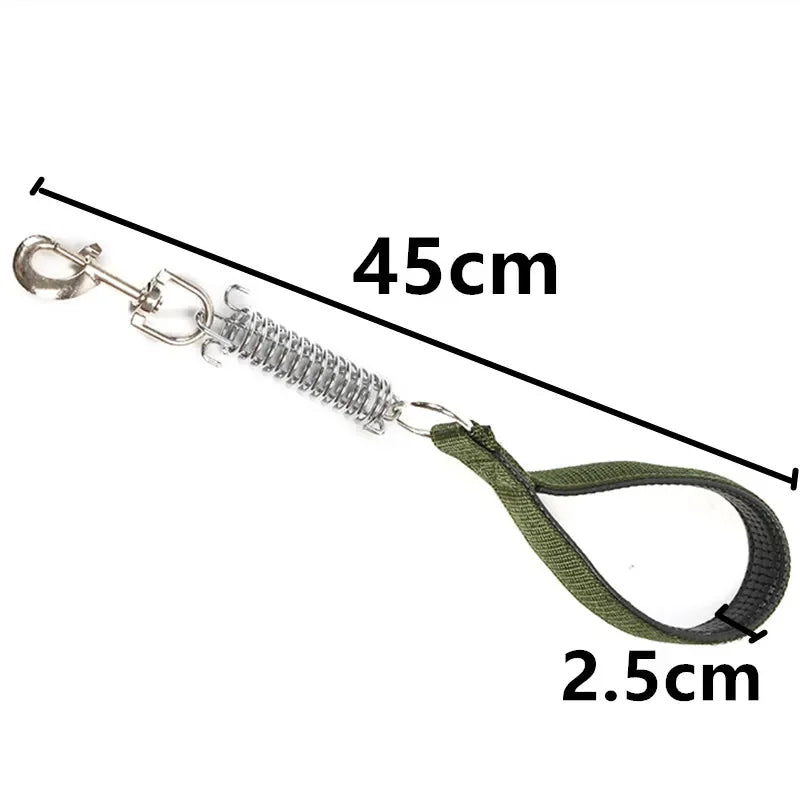 laisse courte nylon amortisseur vert 2,5cm