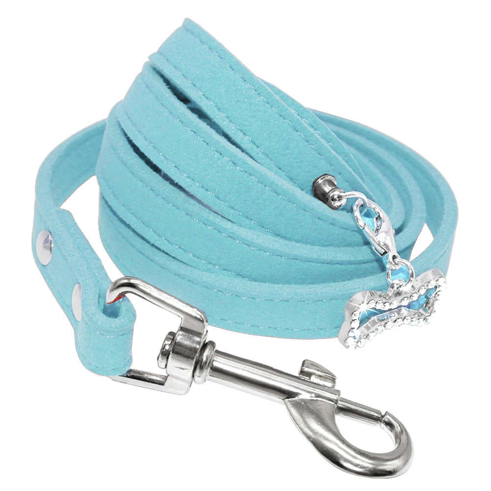 laisse cuir petit chien bleu