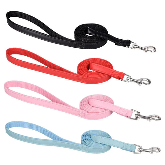 laisse cuir petit chien couleur