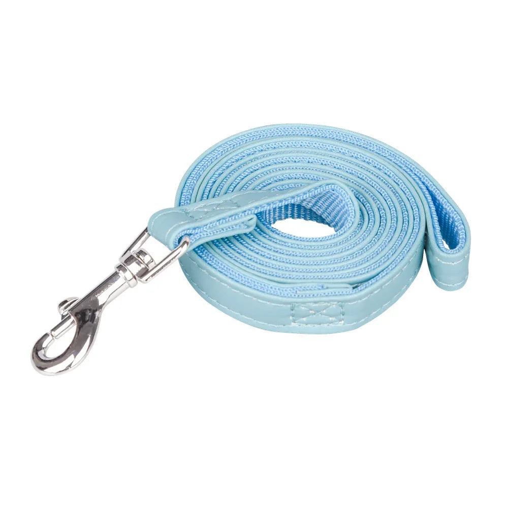 laisse cuir petit chien couleur bleu