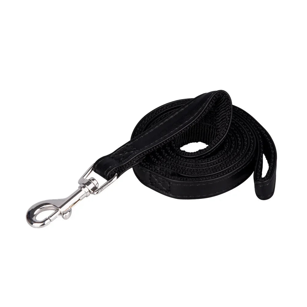 laisse cuir petit chien couleur noir