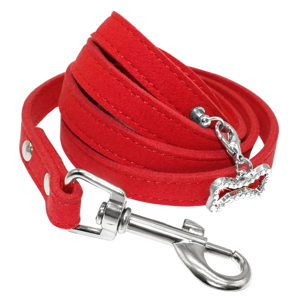 laisse cuir petit chien rouge