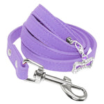 laisse pour petit chien cuir - Vignette | laisse pour chien. fr