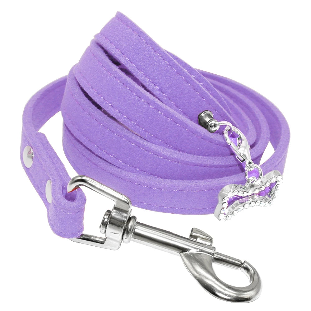 laisse cuir petit chien violet