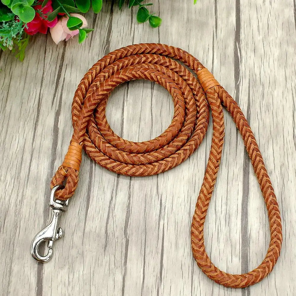 laisse cuir tressee