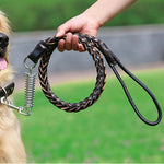laisse pour chien en cuir avec ressort - Vignette | laisse pour chien. fr