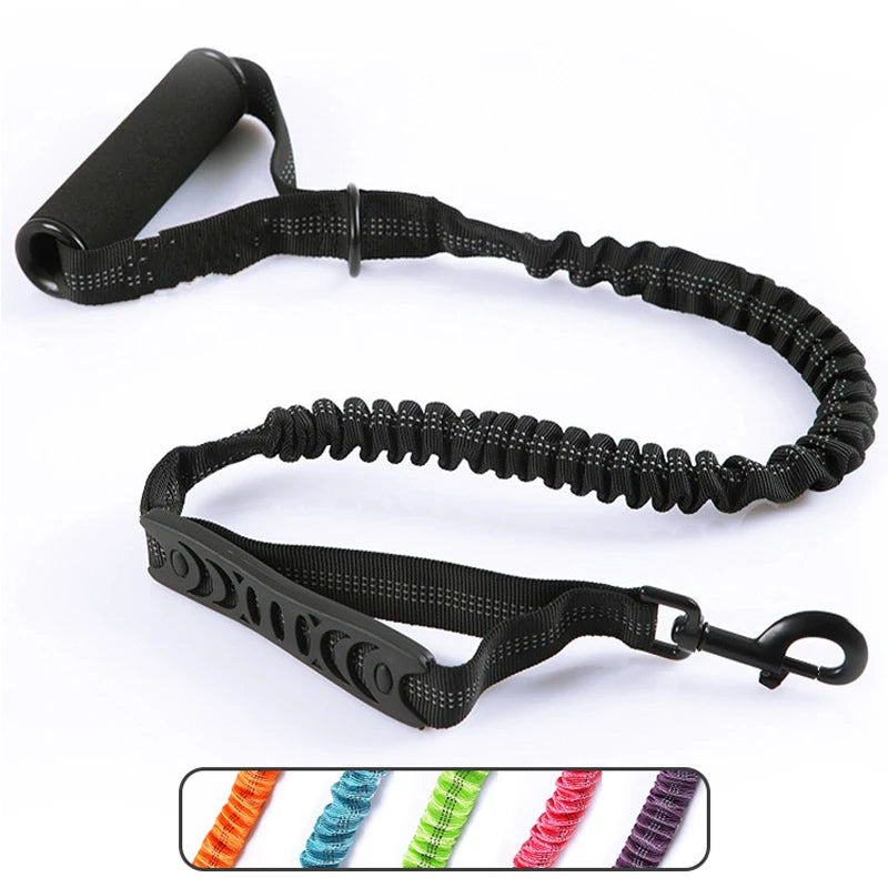 laisse double poignee mousse elastique nylon