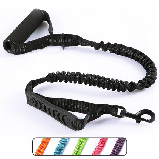 laisse double poignee mousse elastique nylon