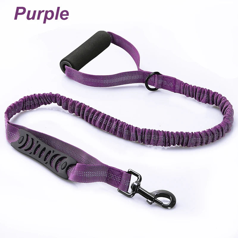 laisse double poignee mousse elastique nylon violet