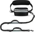 double laisse pour chien mains libres - Vignette | laisse pour chien. fr