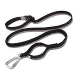laisse élastique pour chien - Vignette | laisse pour chien. fr
